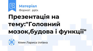 Презентація на тему:"Головний мозок,будова і функції"