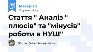 Стаття " Аналіз " плюсів" та "мінусів"  роботи в НУШ"
