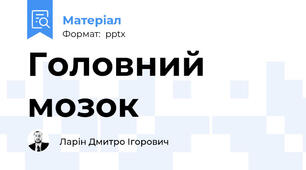 Головний мозок
