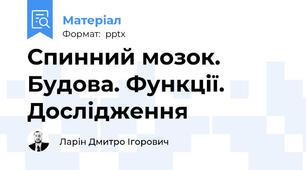 Спинний мозок. Будова. Функції. Дослідження