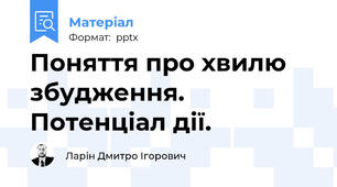 Поняття про хвилю збудження. Потенціал дії.