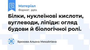 Білки, нуклеїнові кислоти, вуглеводи, ліпіди: огляд будови й біологічної ролі.