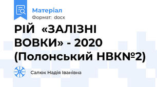 РІЙ  «ЗАЛІЗНІ ВОВКИ» - 2020  (Полонський НВК№2)