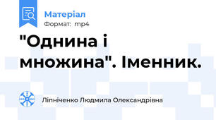 "Однина і множина". Іменник.