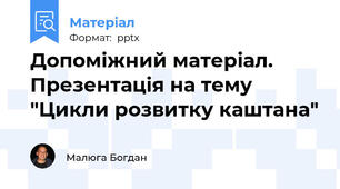 Допоміжний матеріал. Презентація на тему "Цикли розвитку каштана"