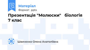 Презентація "Молюски"   біологія 7 клас