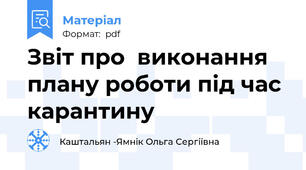 Звіт про  виконання плану роботи під час карантину