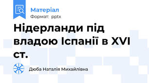 Нідерланди під владою Іспанії в XVI ст.
