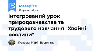 Інтегрований урок природознавства та трудового навчання "Хвойні рослини"