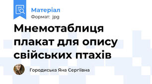 Мнемотаблиця плакат для опису свійських птахів