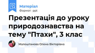 Презентація до уроку природознавства на тему "Птахи", 3 клас