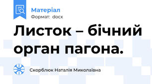 Листок – бічний орган пагона.