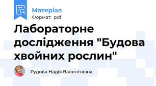 Лабораторне дослідження "Будова хвойних рослин"