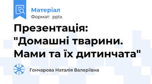 Презентація: "Домашні тварини. Мами та їх дитинчата"