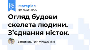 Огляд будови скелета людини. З’єднання ністок.
