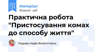 Практична робота "Пристосування комах до способу життя"
