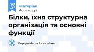 Білки, їхня структурна організація та основні функції