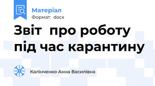 Звіт  про роботу під час карантину