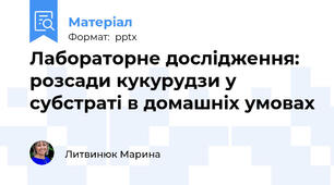 Лабораторне дослідження:  розсади кукурудзи у субстраті в домашніх умовах