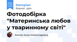 Фотодобірка "Материнська любов у тваринному світі"