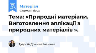 Тема: «Природні матеріали. Виготовлення аплікації з природних матеріалів ».