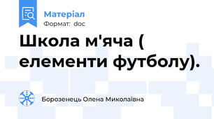 Школа м'яча ( елементи футболу).