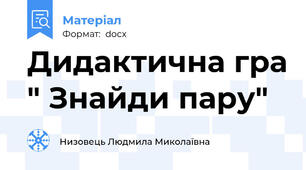 Дидактична гра " Знайди пару"