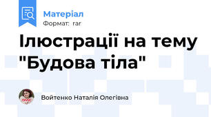 Ілюстрації на тему "Будова тіла"