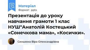 Презентація до уроку навчання грамоти 1 клас НУШ"Анатолій Костецький «Сонечкова мама», «Косички».