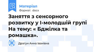 Заняття з сенсорного розвитку у I-молодшій групі На тему: « Бджілка та ромашка».