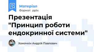 Презентація "Принцип роботи ендокринної системи"
