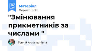 "Змінювання прикметників за числами "