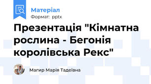 Презентація "Кімнатна рослина - Бегонія королівська Рекс"