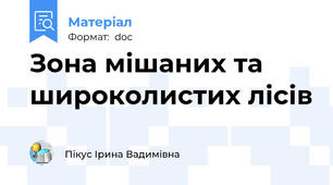 Зона мішаних та широколистих лісів