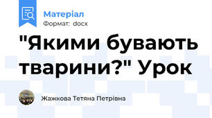 "Якими бувають тварини?" Урок
