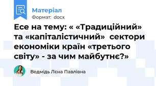 Есе на тему: « «Традиційний» та «капіталістичний»  сектори економіки країн «третього світу» - за чим майбутнє?»