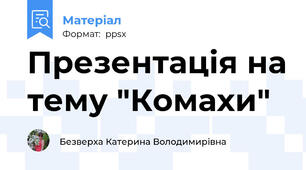 Презентація на тему "Комахи"
