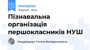 Пізнавальна організація першокласників НУШ