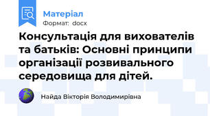 Консультація для вихователів та батьків: Основні принципи організації розвивального середовища для дітей.