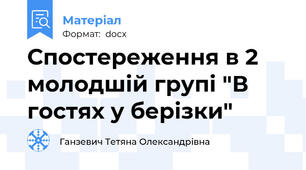 Спостереження в 2 молодшій групі "В гостях у берізки"