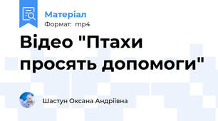 Відео "Птахи просять допомоги"