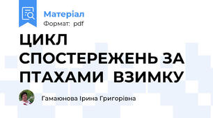 ЦИКЛ СПОСТЕРЕЖЕНЬ ЗА ПТАХАМИ  ВЗИМКУ