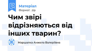 Чим звірі відрізняються від інших тварин?