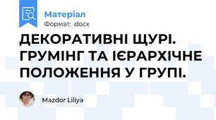 ДЕКОРАТИВНІ ЩУРІ.  ГРУМІНГ ТА ІЄРАРХІЧНЕ ПОЛОЖЕННЯ У ГРУПІ.