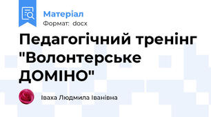 Педагогічний тренінг "Волонтерське ДОМІНО"