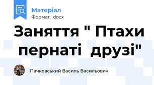 Заняття " Птахи  пернаті  друзі"