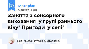 Заняття з сенсорного виховання  у групі раннього віку" Пригоди  у селі"