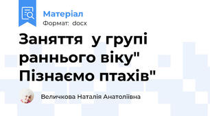 Заняття  у групі раннього віку" Пізнаємо птахів"