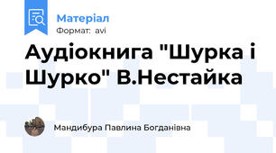 Аудіокнига "Шурка і Шурко" В.Нестайка