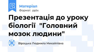 Презентація до уроку біології  "Головний мозок людини"